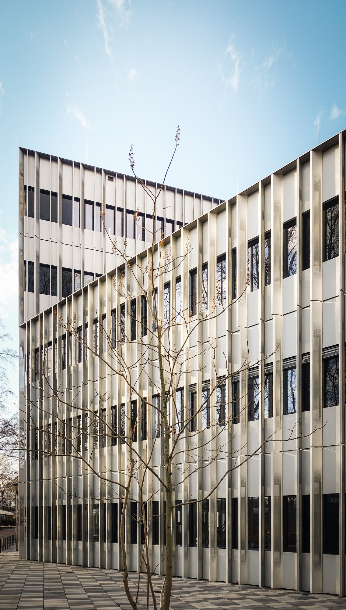 Fassade mit Baum, Hochformat